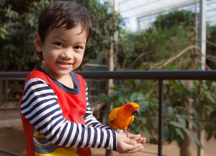 SUMMER ACTIVITIES FOR TODDLERS