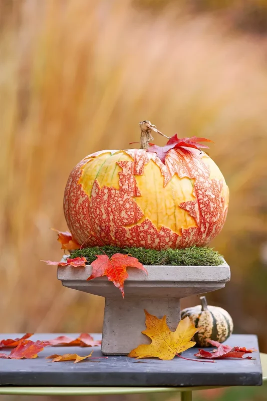 Pumpkin carving ideas for kids